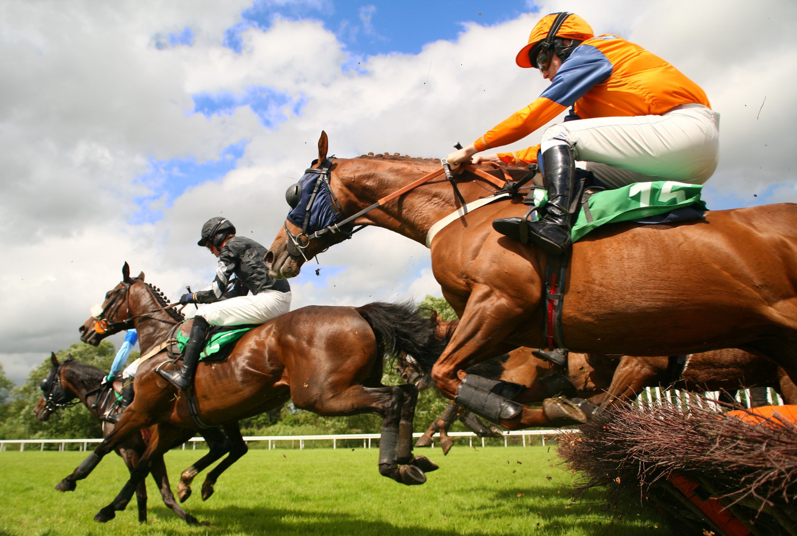 Horses jumping Grand National 