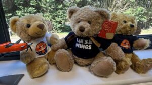 SkyCare comfort bear used on paediatric air ambulance flights to reassure young patients during medical transfers