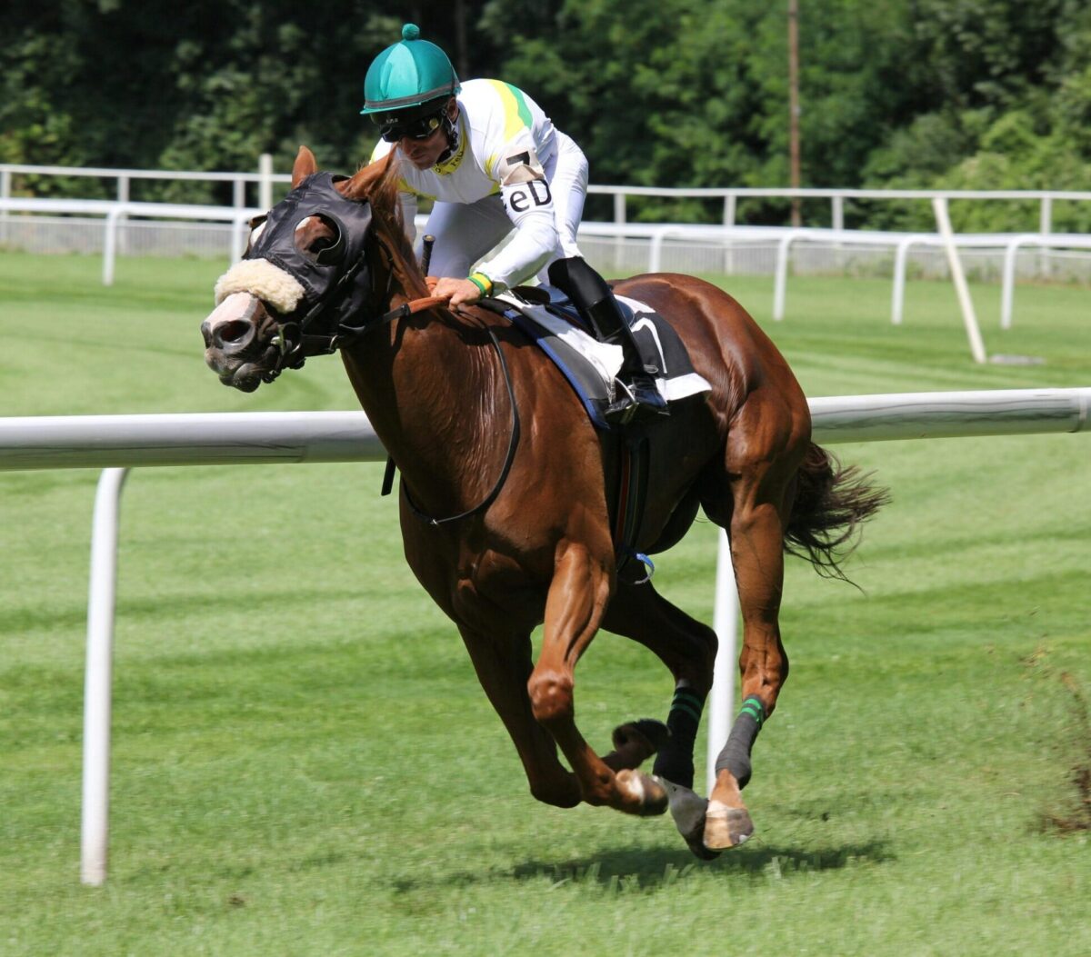 Champion horse and jockey winning the Grand National at Aintree