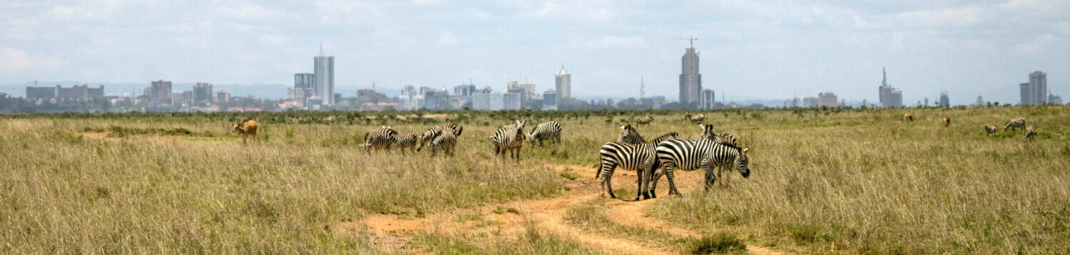 Zebra in front of Nairobi skyline, symbolising SkyCare’s Kenya-based air ambulance and medical repatriation services