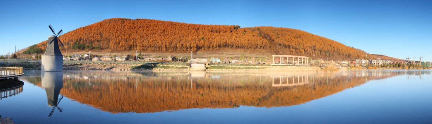 Air ambulance and medical repatriation from Mongolia to the UK