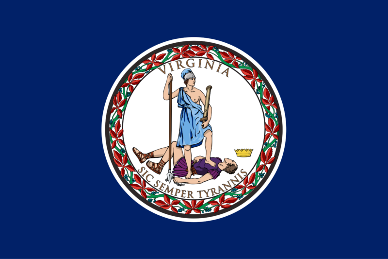 Virginia state flag representing medical transport and patient repatriation services to the UK.