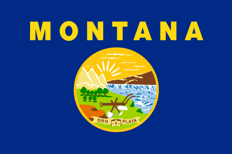 Montana state flag representing medical evacuation and international repatriation services
