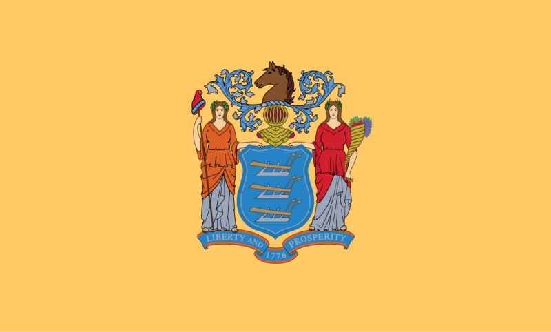 New Jersey state flag representing medical flight and repatriation services