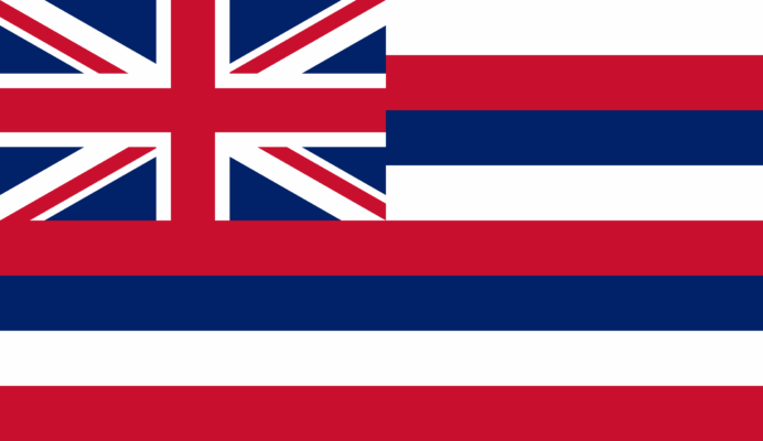 Hawaii state flag representing medical transport services to and from the UK