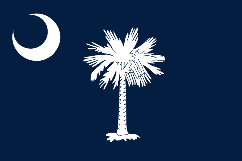 South Carolina state flag representing medical flights to the UK