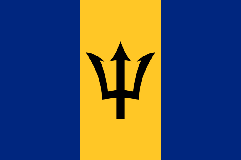 Private air ambulance from Barbados with national flag representing medical repatriation services