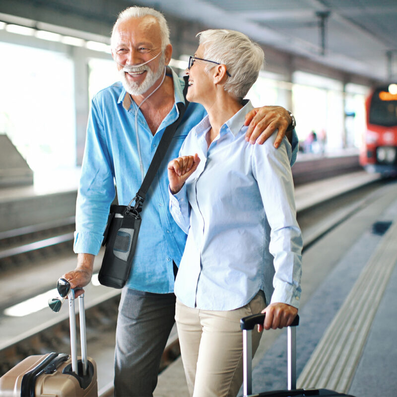 Portable oxygen concentrator suitable for commercial airline travel
